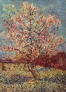 Vincent Van Gogh Bluhender Pfirsischbaum oil painting on canvas